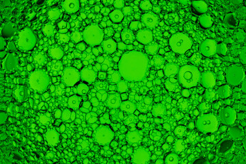 Abstract photo of small condensed bubbles on green background