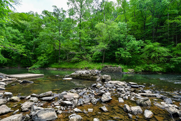 A Walk by the Cahaba River in Birmingham, Alabama