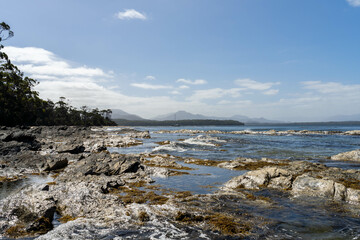 sailing on a yacht in the australian in the remote forest wilderness in spring, with waves breaking on a beach on the australian coastline