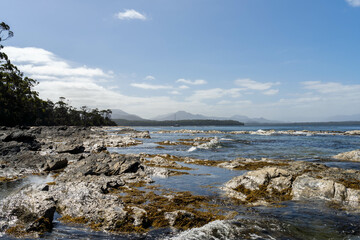 sailing on a yacht in the australian in the remote forest wilderness in spring, with waves breaking on a beach on the australian coastline