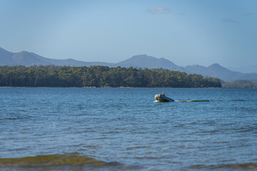 tinny dinghy boat on a river in a national park in the australian bush, On the beach