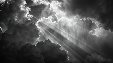 Fototapeta premium sunlight sky wallpaper