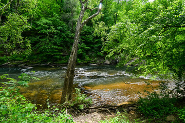 A Walk by the Cahaba River in Birmingham, Alabama