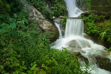 Obraz premium Beautiful Paglajhora waterfall on Kurseong, Himalayan mountains of Darjeeling, West Bengal, India. Origin of Mahananda River flowing through Mahananda Wildlife Sanctuary, Siliguri and Jalpaiguri.
