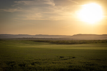 Fototapeta premium Beautiful sunset over the fields.