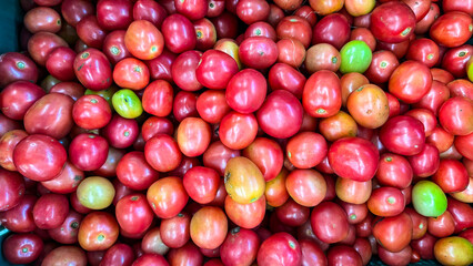 Srida Pink Egg Tomato as background