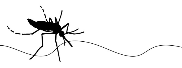 vector silhouette of dengue mosquito for malaria day and dengue day