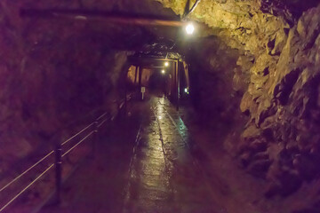 The Doyu Mine, a national important cultural property and national historic site, was a machine-dug tunnel that greatly contributed to the modernization of the Sado Gold Mine.