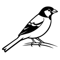 bird on a branch silhouette, nature, illustration