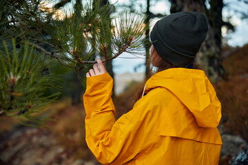 A woman in a yellow raincoat admiring a majestic pine tree in the serene woods during a peaceful nature walk