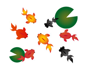 上から見た金魚と葉っぱのイラスト