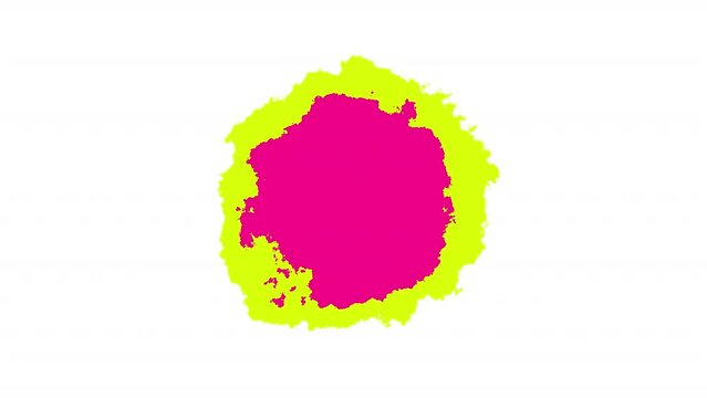 ink drop on white background, colorful ink splatter transition, Abstract ink splatter effect collection, ink overplay in ten colors, ink splatter transition effect 
ink reveal.