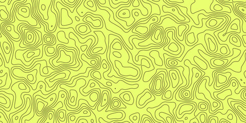 Abstract topology topographic line map 