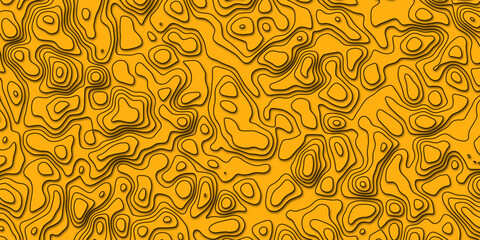 Abstract topology topographic line map 