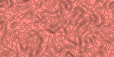 Abstract topology topographic line map 