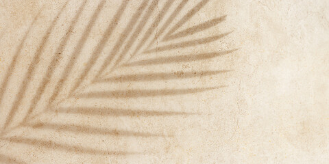 Palm tropical leaf shadow on textured concrete background neutral earth colored. Summer minimal...