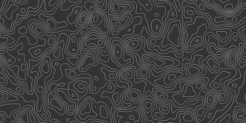 Abstract topography wavy line map.