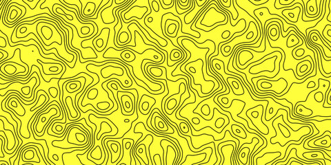 Abstract topography wavy line map.
