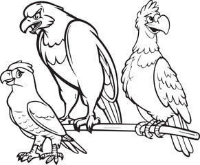 eagle bird vector illustration white and black