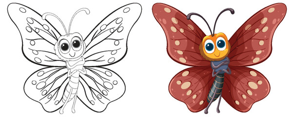 Vector illustration of a butterfly, colored and outlined