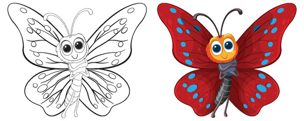 Two stages of butterfly, from sketch to color