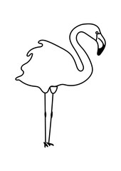 Flamingo