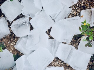 흙바닥 위에 놓인 사각형 얼음들