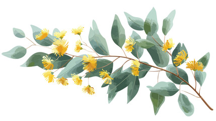 Blooming eucalyptus flower with lush yellow petals is