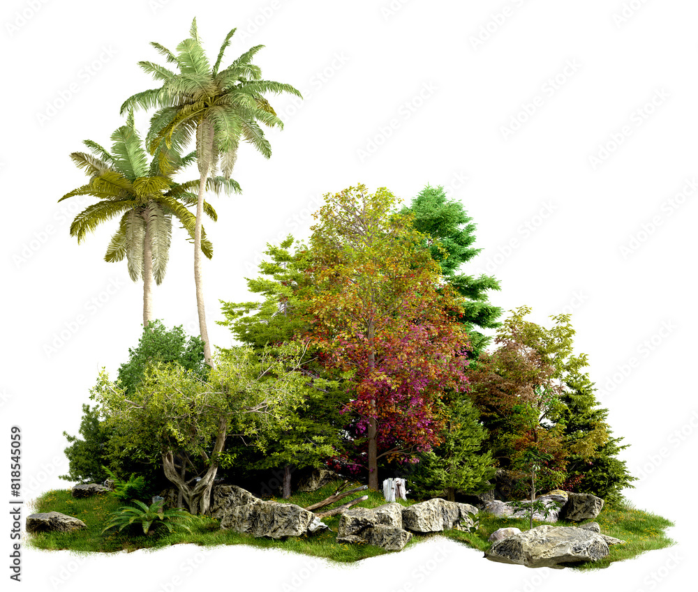 Poster tree group and small forest PNG transparent ,3d illustration rendering