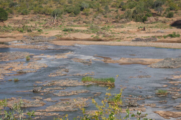 Afrikanischer Busch - Krügerpark - Olifants River / African Bush - Kruger Park - Olifants River /