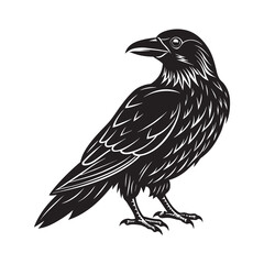 Raven  icon design illustration vector