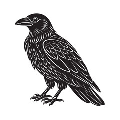 Raven vector art, isolated white background, vector illustration.