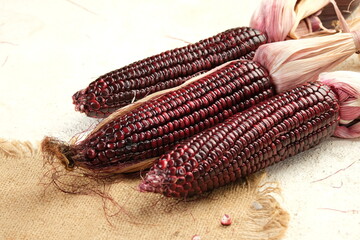 Organic sweet purple corn on white background.