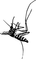 World mosquito day