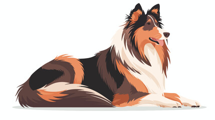 Cute dog of Collie breed pedigree. Happy funny long-c