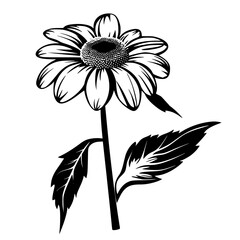 Daisy silhouette, daisy svg, daisy png, daisy illustration, Daisy, Silhouette flower, floral svg, herb svg, flower illustration, flower, floral, vector, nature, illustration, spring, design, pattern, 