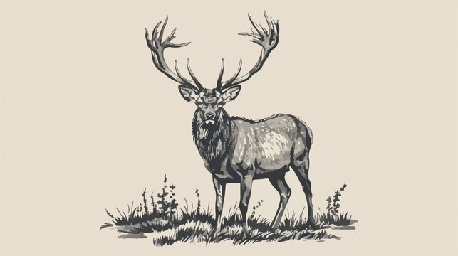 recommend clip art: Elegant outline drawing of male deer or stag looking