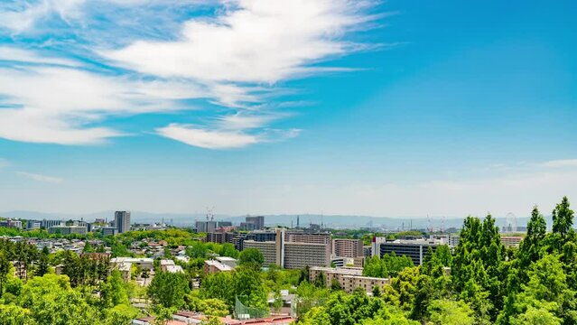 Urban Landscape of Osaka