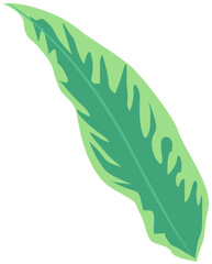 Tropical Botanical leaves