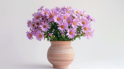 Pot with beautiful colorful chrysanthemum flowers on white background, flower arrangement multicolor bouquet of beautiful flowers ,a bouquet of chrysanthemum flowers in a vase