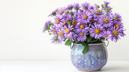 Pot with beautiful colorful chrysanthemum flowers on white background, flower arrangement multicolor bouquet of beautiful flowers ,a bouquet of chrysanthemum flowers in a vase