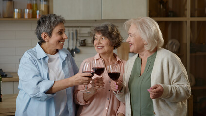 Happy smiling elderly female friends toasting celebrating friendship day