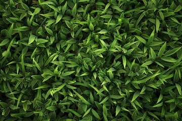 A lush green field of grass with many leaves