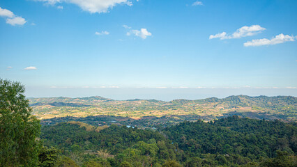 Fototapeta premium panoramic view of a hilly landscape under a clear blue sky. The foreground features lush greenery, indicating a forested area. As the view extends, rolling hills covered in patches of green and brown 