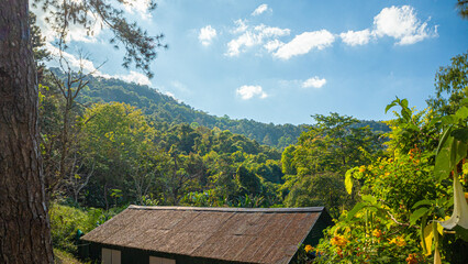 portrays a tranquil and verdant setting, likely within a park or nature reserve. The central...