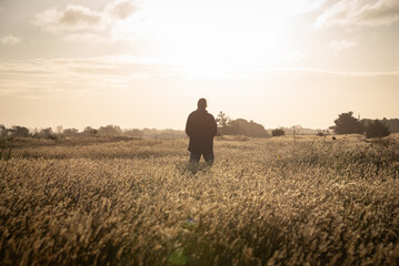 Man standing in yellow meadow in beautiful sunset light, facing forward 