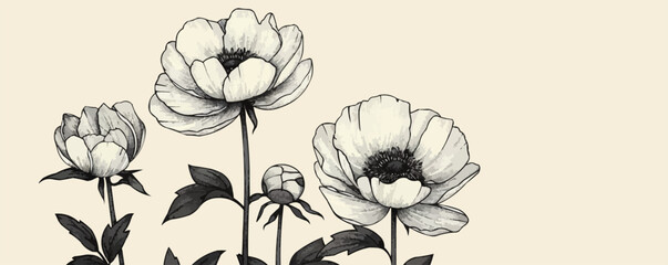 peony line art simple minimal. vector simple illustration