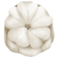 Chuseok Festival Clipart Collection: Celebrate Korean Harvest