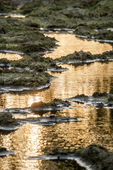 mud water rain sunset