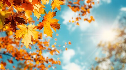 Vibrant autumn foliage against blue sky background